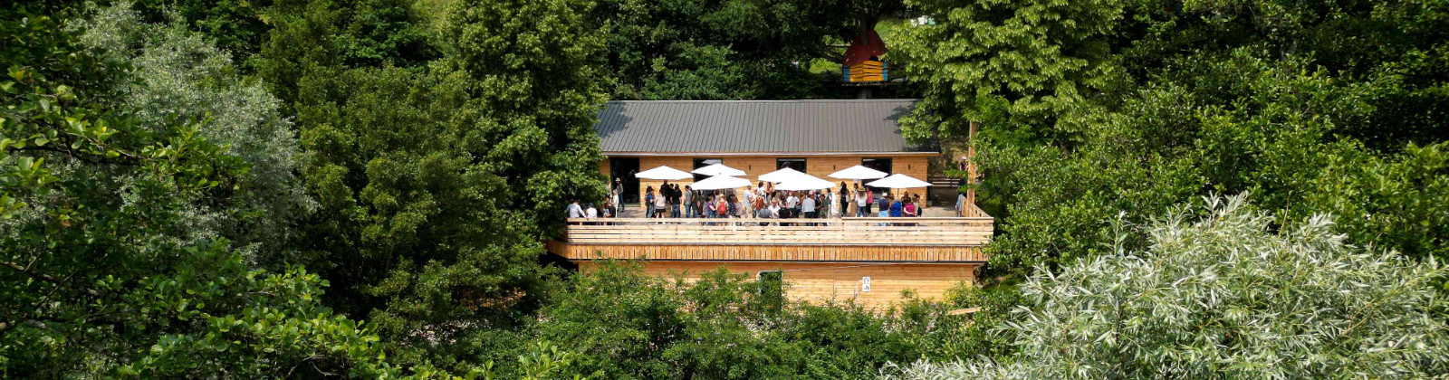 OLEVENE Image - bois-lutin-business-olevene-evenement-