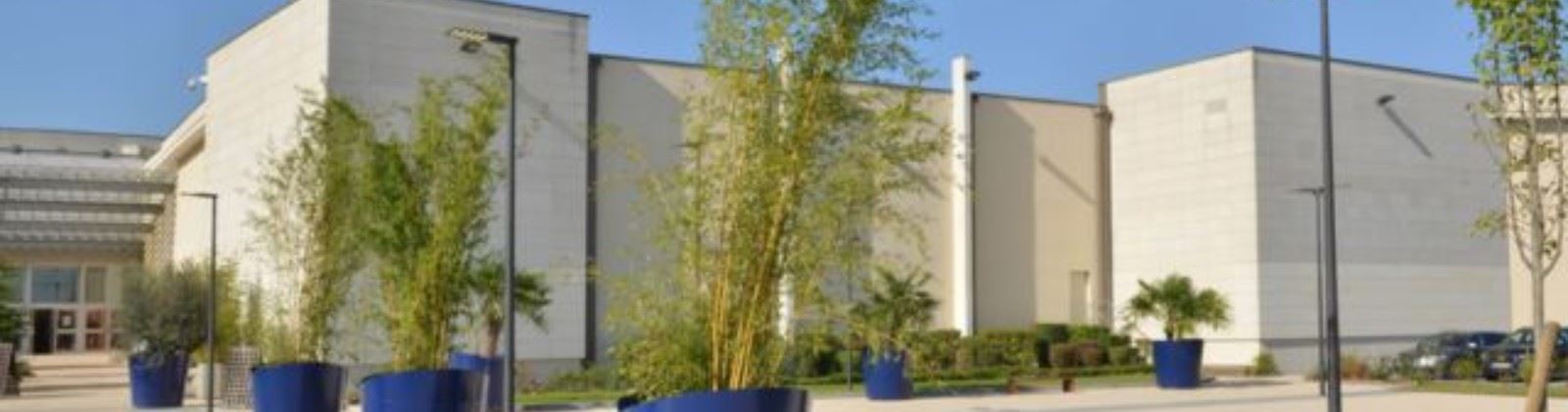 OLEVENE Image - caveau-de-castelnau-olevene-restaurant-seminaire-booking-