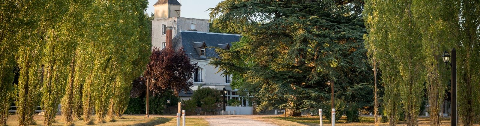 OLEVENE Image - cohen-relais-landes--