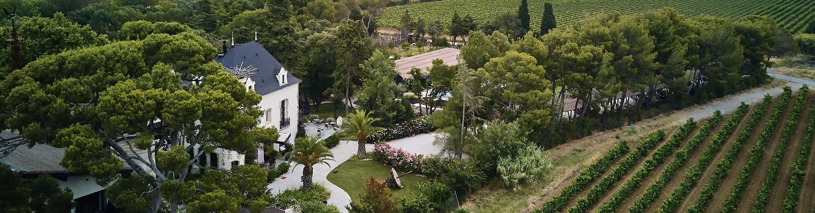 OLEVENE Image - domaine-tarbouriech-olevene-event-