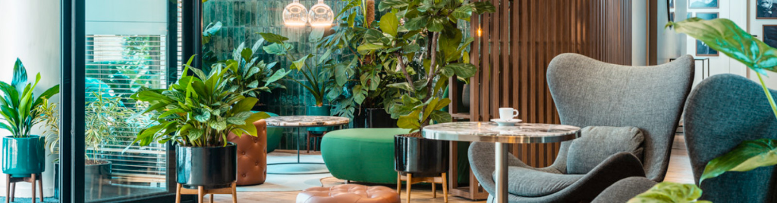 OLEVENE image - mercure-montparnasse-pasteur-olevene-event-