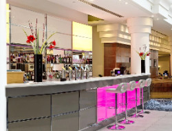 OLEVENE image - Atrium-View--