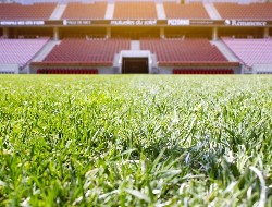 OLEVENE image - Allianz-Riviera-Olevene-seminaire--