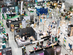 OLEVENE image - Arena-Expo-SD--