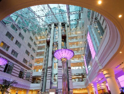 OLEVENE image - Atrium-View--