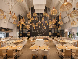 OLEVENE image - BODGIGI--