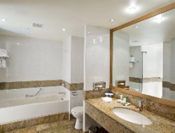 OLEVENE image - Atrium-View--