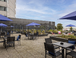 OLEVENE image - CDGHITW-Terrace--