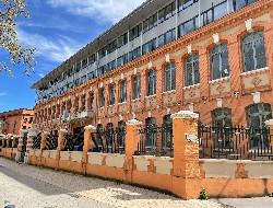 OLEVENE image - DSC_-