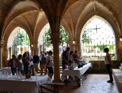OLEVENE image - abbaye-fontdouce-olevene-seminaires-