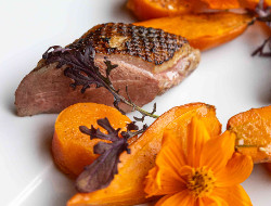 OLEVENE image - G THEATRE-