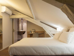 OLEVENE image - brit-hotel-macon-centre-olevene-seminaire-
