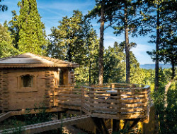 OLEVENE image - cabanes-bois-villalier-olevene-seminaires-