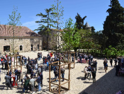 OLEVENE image - cabanes-bois-villalier-olevene-seminaires-