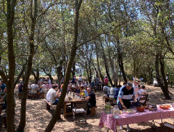 OLEVENE image - cabanes-bois-villalier-olevene-seminaires-