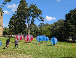 OLEVENE image - cabanes-bois-villalier-olevene-seminaires-