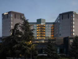 OLEVENE image - Atrium-View--