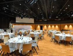 OLEVENE image - centre-congres-jean-monnier-olevene-events-