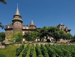 OLEVENE image - chateau-de-castel-novel-olevene-conference-