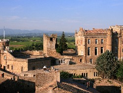 OLEVENE image - chateau-de-rochegude-olevene-hotel-restaurant-salle-convention-