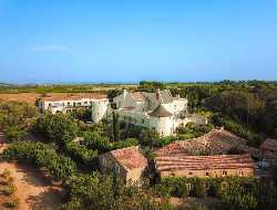 OLEVENE image - chateau-hermitage-combas-olevene-events-