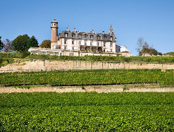 OLEVENE image - chateau-isenbourg-olevene-reunion-