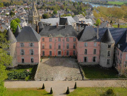 OLEVENE image - chateau-meung-loire-olevene-reunions-