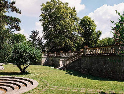 OLEVENE image - DSC_-