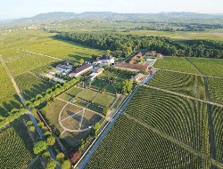 OLEVENE image - salle_brouilly_-