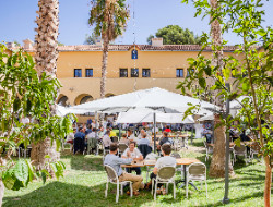 OLEVENE image - cloitre-marseille-olevene-meeting-
