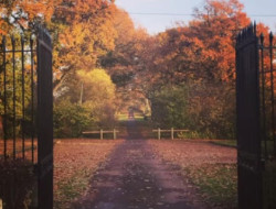 OLEVENE image - domaine-chapeau-olevene-event-