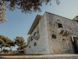 OLEVENE image - fortin-corbieres-marseille-olevene-meetings-