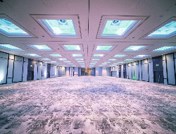 OLEVENE image - hilton-london-metropole-olevene-events-