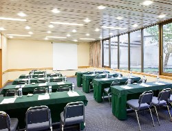 OLEVENE image - holiday-inn-lisbone-continental-olevene-salle-meeting-