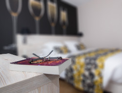 OLEVENE image - hotel-champagne-epernay-olevene-evenement-