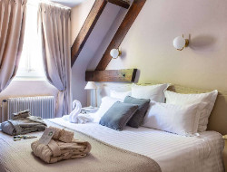 OLEVENE image - hotel-maxime-auxerre-olevene-events-