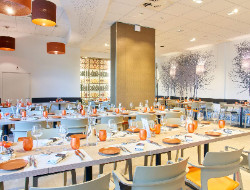 OLEVENE image - hotel-parksaone-olevene-reunion-