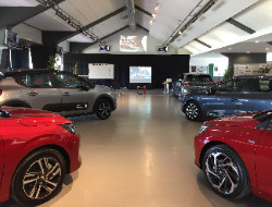 OLEVENE image - hyppodrome-lyon-parilly--