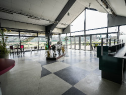 OLEVENE image - hyppodrome-lyon-parilly--