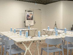 OLEVENE image - ibis-styles-dax-centre-olevene-meeting-