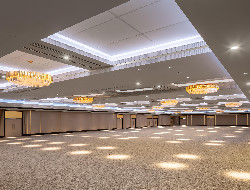 OLEVENE image - intercontinental-london-o-olevene-events-