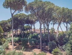 OLEVENE image - les-jardins-de-sainte-maxime-olevene-reunion-