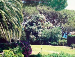 OLEVENE image - les-jardins-de-sainte-maxime-olevene-reunion-