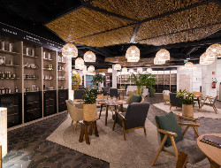 OLEVENE image - MERCURE CANNES--