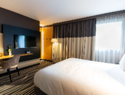OLEVENE image - mercure-colmar-centre-unterlinden-olevene-seminaires-