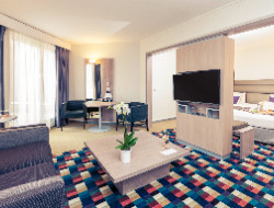 OLEVENE image - mercure-grenoble-president-olevene-event-