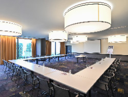 OLEVENE image - mercure-metz-centre-olevene-meetings-