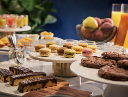 OLEVENE image - mercure-montparnasse-pasteur-olevene-meeting-