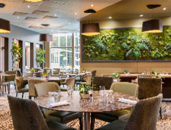 OLEVENE image - novotel-lyon-gerland-confluences-olevene-reunion-