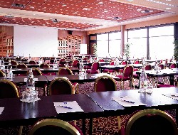 OLEVENE image - novotel-marne-la-vallee-collegien-olevene-evenement-